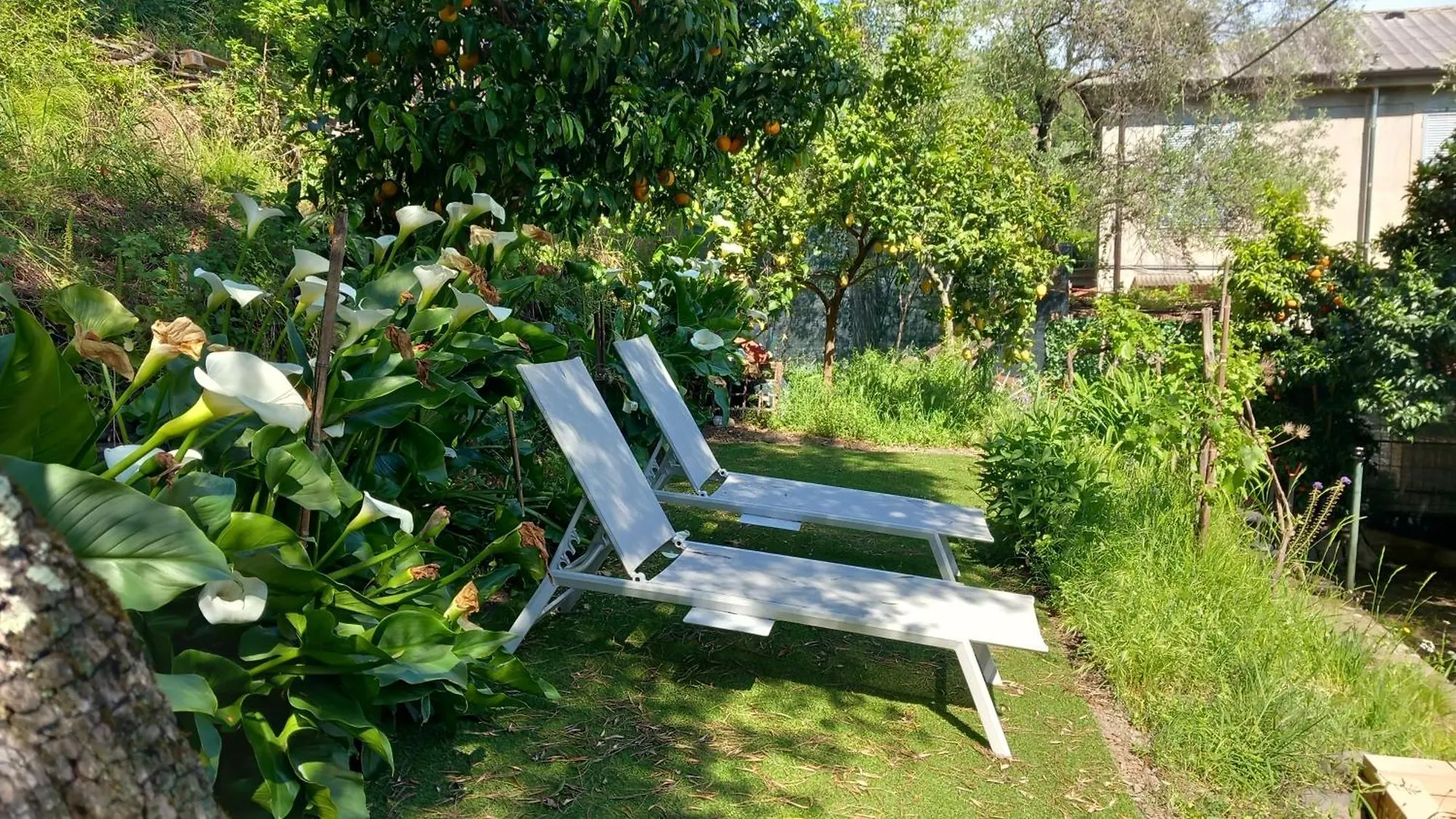 بيت للعطل Casa Vacanze Verde Mare Relax لا سبيتسْيا
